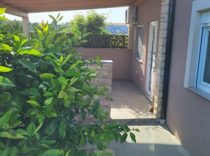 Apartment Mario
